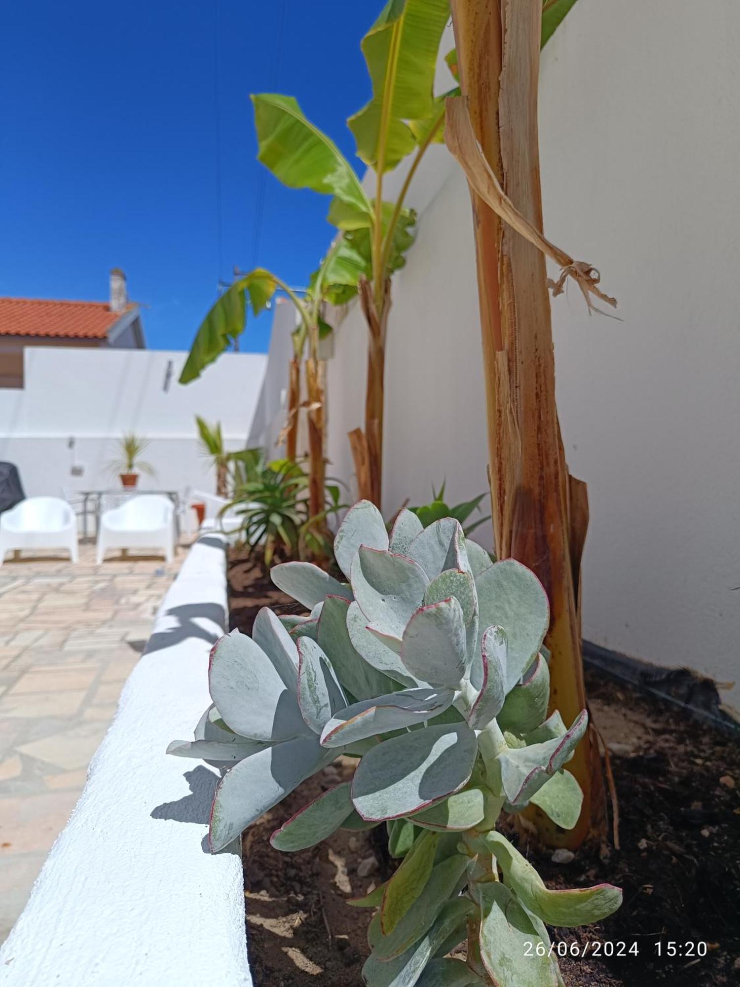 Bed and Breakfast Supertubos House Peniche Atouguia Da Baleia Zewnętrze zdjęcie